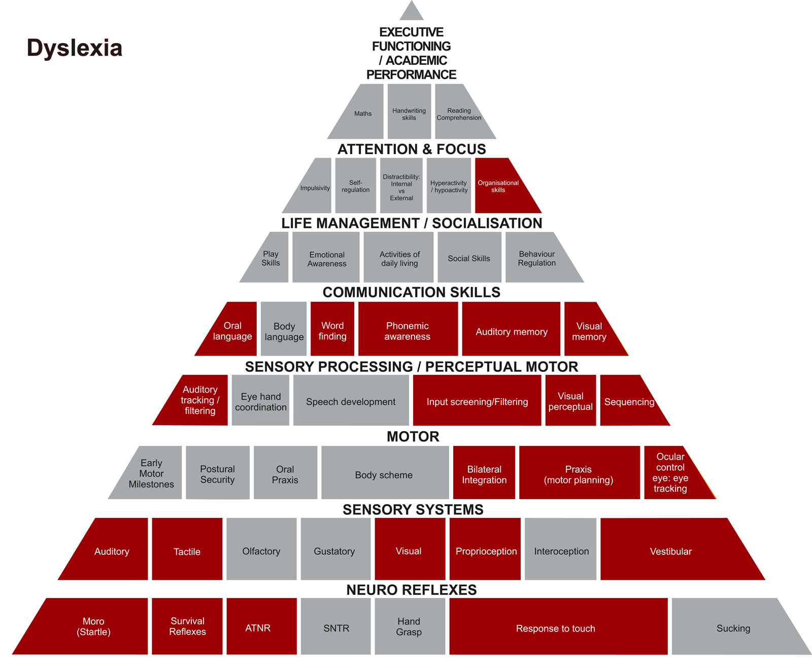 Developmental Pyramid - Sterling Practice